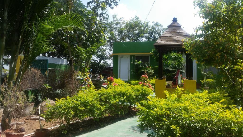 Sunshine Guest House India Tiruvannāmalai Zewnętrze zdjęcie